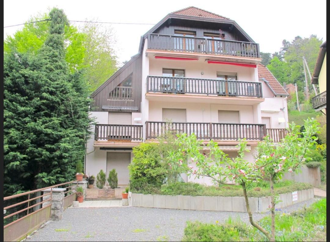 Studio Le Manet Apartment Le Hohwald Exterior photo